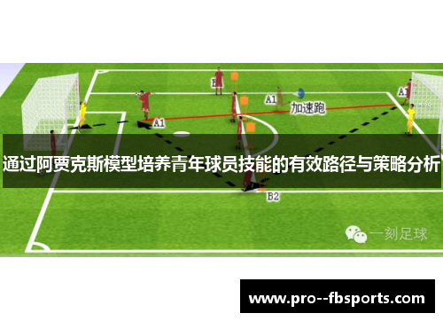 通过阿贾克斯模型培养青年球员技能的有效路径与策略分析