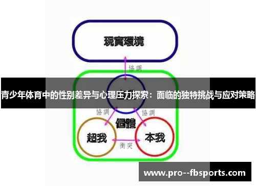 青少年体育中的性别差异与心理压力探索:面临的独特挑战与应对策略 青少年体育中的性别差异与心理压力探索:面临的独特挑战与应对策略